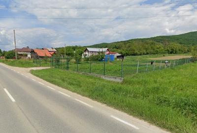 Teren Construcții intravilan de 6967 mp, în Băiculești