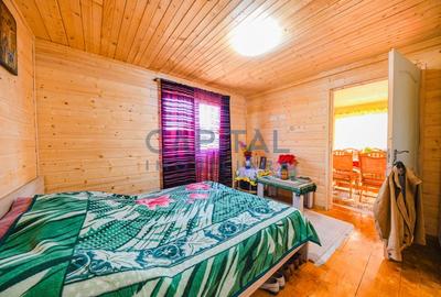 Casa cu teren de 3100 mp de vanzare in comuna Cornesti - 5