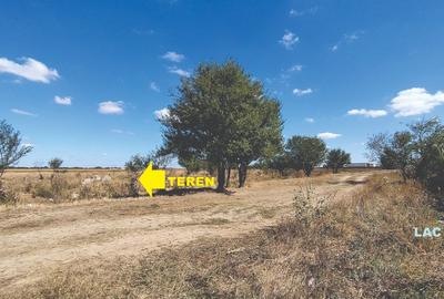 Vanzare teren 4400 mp Snagov - Gruiu, cu deschidere la lacul Snagov - 8