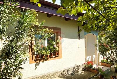 Casa cu teren de vanzare in Rugionasa iasi - 10