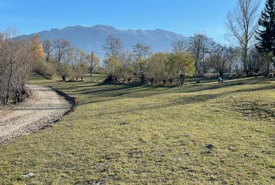 Teren intravilan loturi intre 500 si 1000 m la 14 km de Rasnov - 13