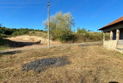 Casa + teren Certeju de Jos, Comuna Vorta ( Hunedoara) - 1