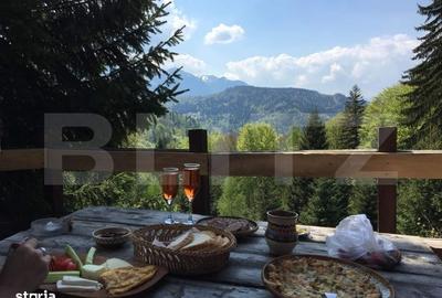 Casă cu 2 camere cu Teren 20000 Mp în Predeal - 8