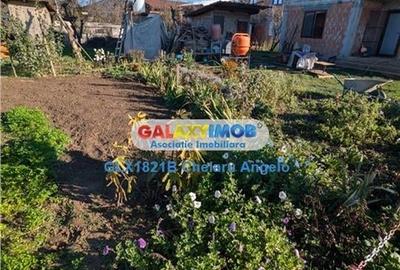 Adunatii Copaceni vila P+1 ,5 camere,suprafata 165 mp, teren 1300 mp - 13