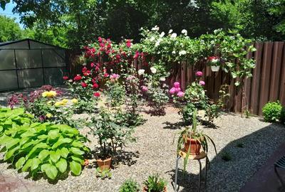 Casă cu 6 camere cu Teren 500 Mp în Movilița - 4