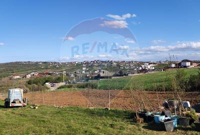 Teren Construcții intravilan de 1200 mp, în Săldăbagiu de Munte - 3