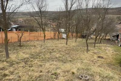 Teren de 1064 mp, în Bârlea - 4