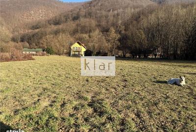 Spațiu comercial, în Someșu Rece - 11