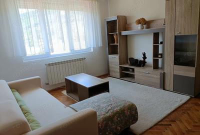 Apartament 2 camere de inchiriat Baia Sprie - 4