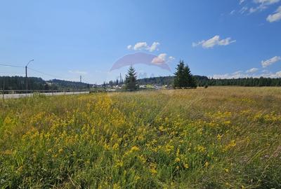 Teren partial intravilan 30,930 mp Poiana Stampei-DN E58, Suceava - 15