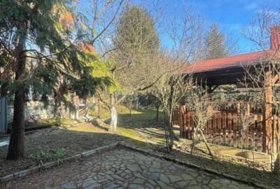 Casă cu 7 camere cu Teren 2544 Mp în Cicârlău - 4