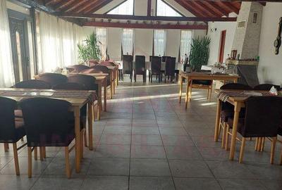 CASA\VILA DE VANZARE \COM. OBREJA\SAT IAZ\CARA?-SEVERIN - 17