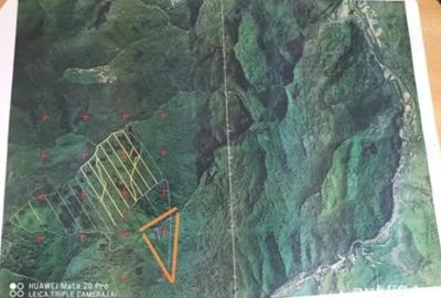 Teren extravilan de 80000 mp, în Moneasa - 1