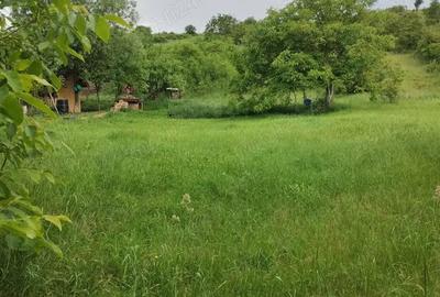 Teren de 900 mp, în Cojocna - 3