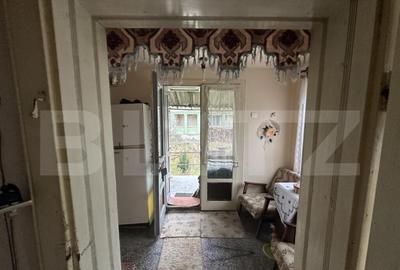 Teren 3000 mp + 2 case de vanzare-Ca?eiu - 6