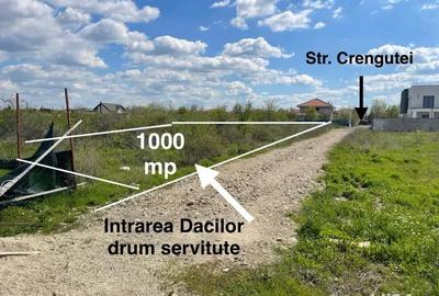 Teren de 1000 mp, în Domnești - 3
