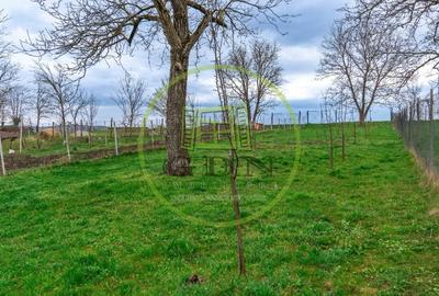 Casa cu 6 camere suprafata 220mp si teren 1700mp spre vanzare in Rosia,SB - 18