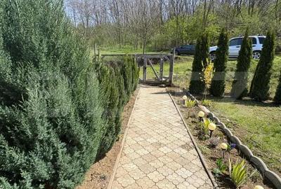 Casa de vacanta zona Ciugud - 6