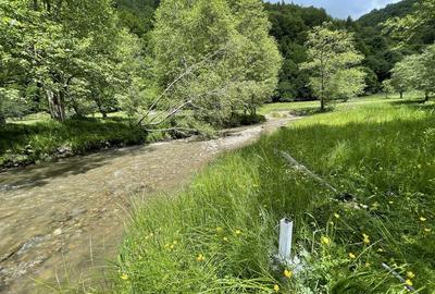 Spațiu comercial, în Poiana Mărului - 7