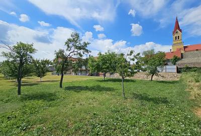 Casa Cenad, centru, langa biserica catolica - 3