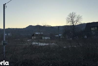 Teren de 10834 mp, în Dumbrăvești - 6
