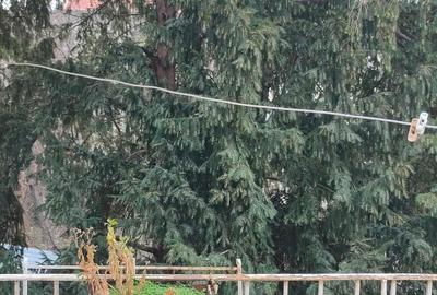 Apartament Central de vanzare Timi?oara - 2