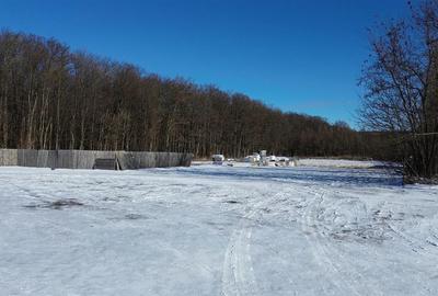 Teren Construcții intravilan de 9850 mp, în Dragomirna - 1