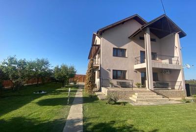 Vilă premium cu grădină spectaculoasă și casă de oaspeți - 2