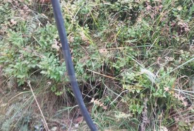 Teren de 17345 mp, în Fundata - 3