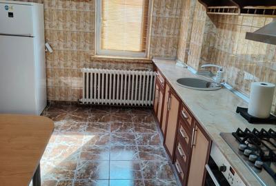 Apartament cu 2 camere decomandat în Craiovița Nouă - 2