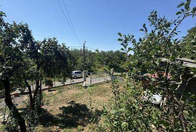 De vanzare Casa cu teren 3500MP in Sabisa/Maramures - 7