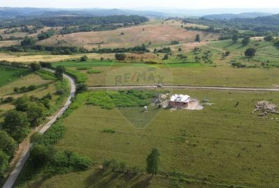 Teren 9,900mp Berinta cu deschidere la 2 drumuri. - 3