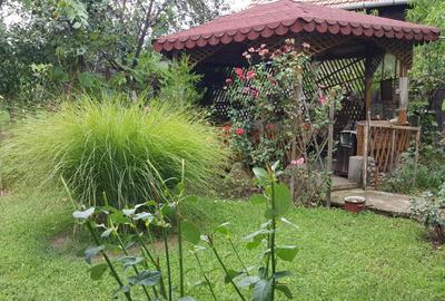 Casa mare in zona centrala Aluni? - 1