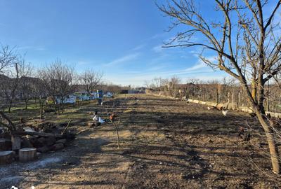 Casă cu 4 camere cu Teren 1933 Mp în Central - 5