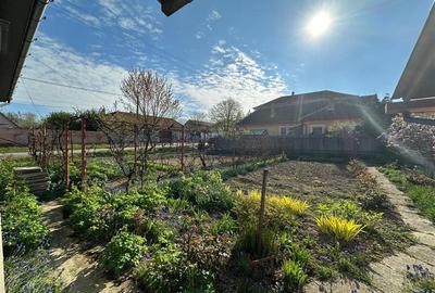 Casă individuală cu 3 camere cu Canalizare în Sud-Est - 13