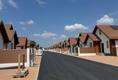 Birou Dezvoltator - Pantelimon - Str. Rascoalei - 4 camere - 3 bai - 13