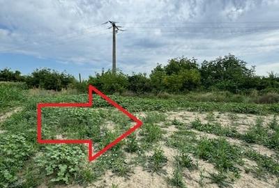 Teren 7.200 mp, de vanzare, loc. Rusi Ciutea, com. Letea Veche, jud. Bacau - 7