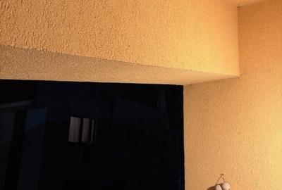 Apartament cu 2 camere decomandat, mobilat în Berceni - 14