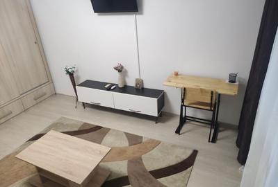 Garsonieră decomandată în Lujerului - 8