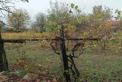 Casă cu 3 camere cu Teren 2493 Mp în Pădina - 1