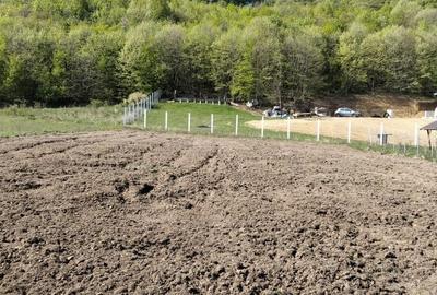 Spațiu comercial, în Central - 6