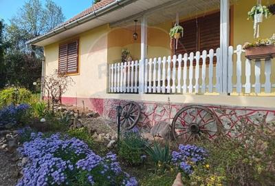 OCAZIE!!! CASA SUPERBA cu teren in JULITA jud Arad in M tii Zarandului - 42