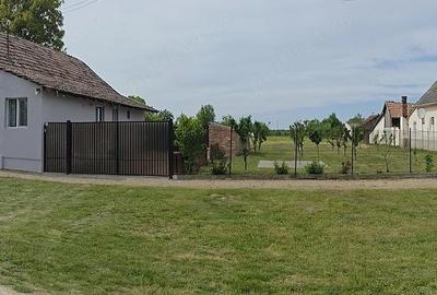 Casă cu 3 camere cu Teren 3500 Mp în Satu Mare - 5