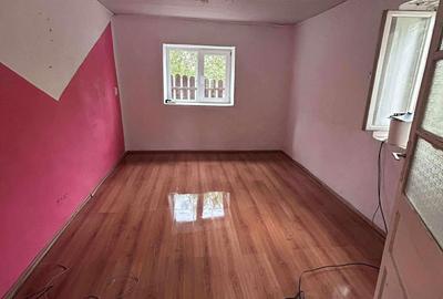 Casă cu 2 camere în Șepreuș - 5
