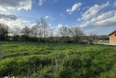 Teren de 5370 mp, în Roșia - 3