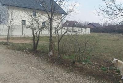 Teren de 1600 mp, în Central - 2