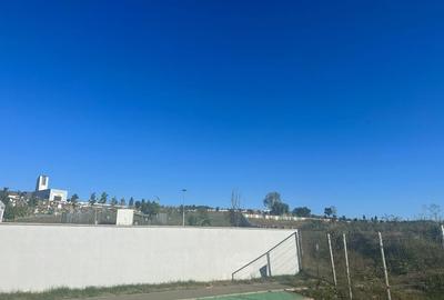 Spațiu comercial, în Sopor - 2