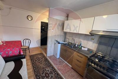 Apartament cu 1 camere de inchiriat in zona Gara - 8