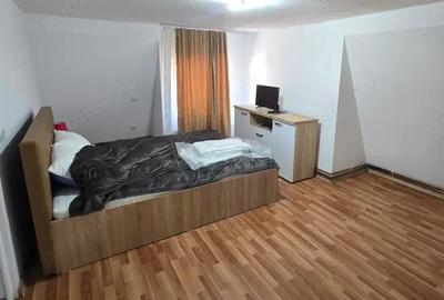 Casă în Vișeu de Jos - 4