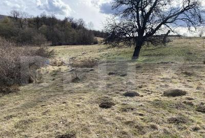 Teren extravilan in suprafata de 7500 mp la poalele Mesesulu - 5